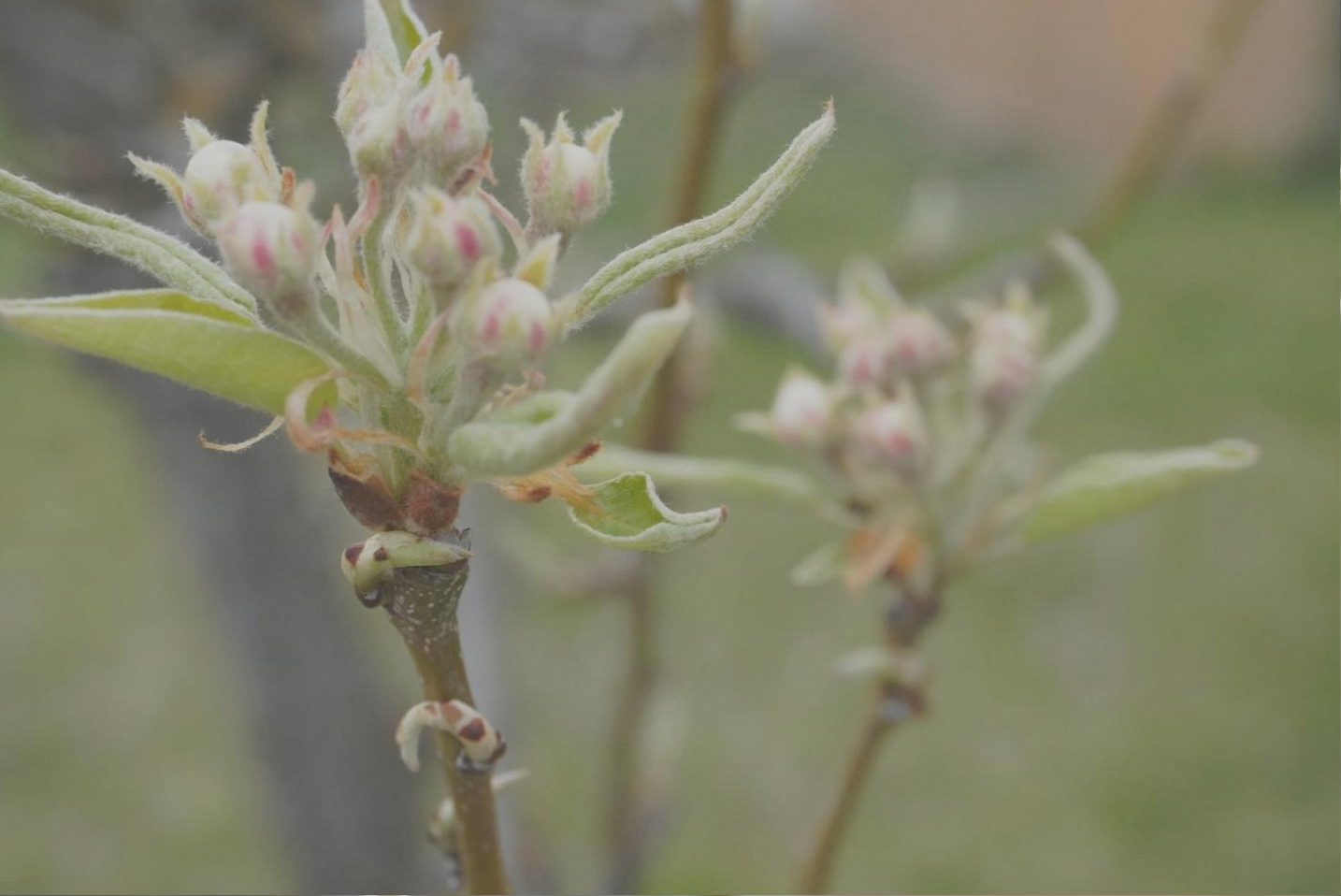 Close-up of flower stems being arranged during a practical session